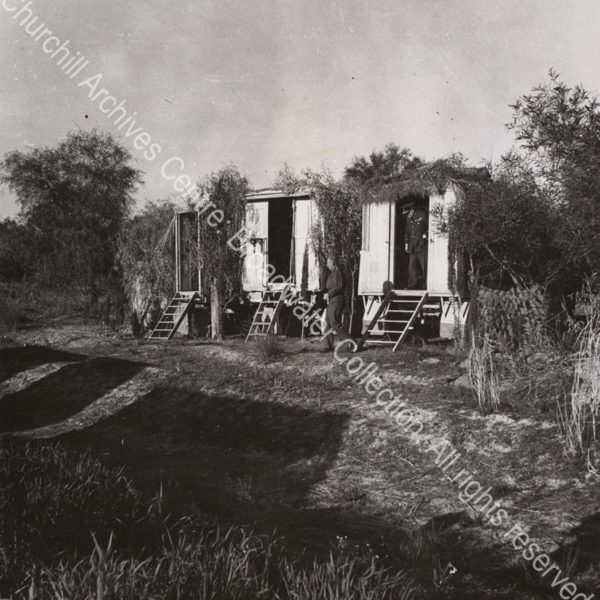 Photo [?in North Africa] shows a rear view of three lorries camouflaged with foliage. WSC