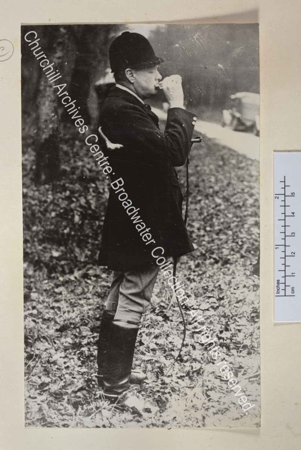 Photo shows WSC in profile