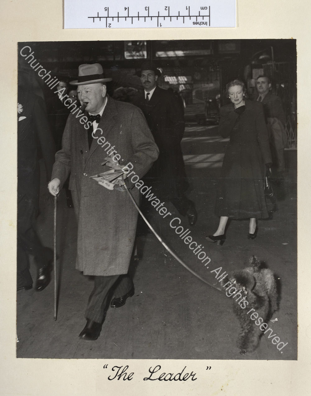 Photo of WSC wearing a suit and overcoat