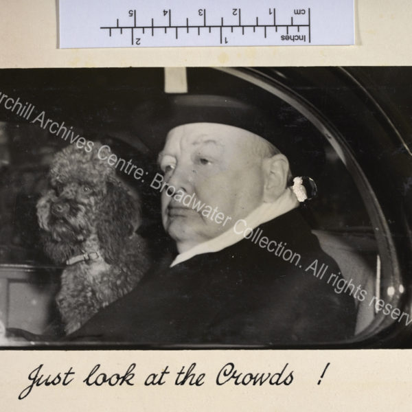 Photo of WSC in the back of a car with his poodle Rufus. They are both looking out of the window.