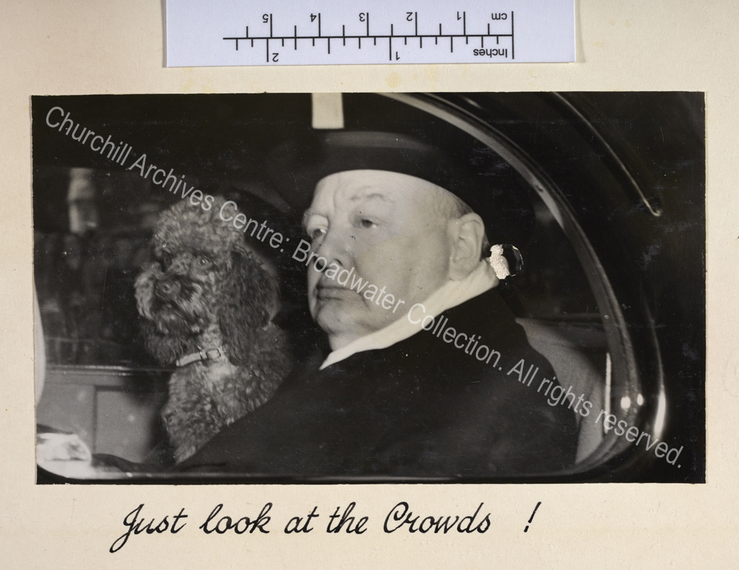 Photo of WSC in the back of a car with his poodle Rufus. They are both looking out of the window.