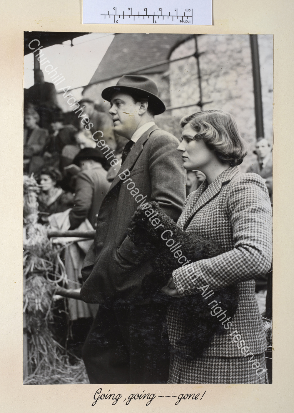 Exterior photo showing Christopher Soames and Mary Soames [earlier Mary Churchill] wearing a tweed jacket and carrying a dog [watching the auction of WSC's dairy herd].